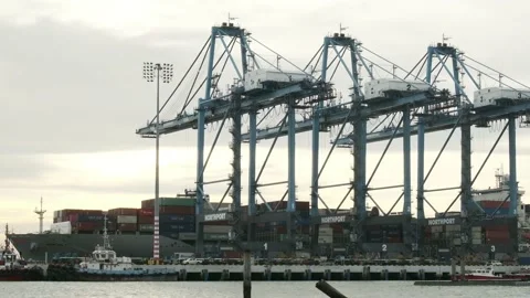 Container unloading at Northport Stock Footage 135845914