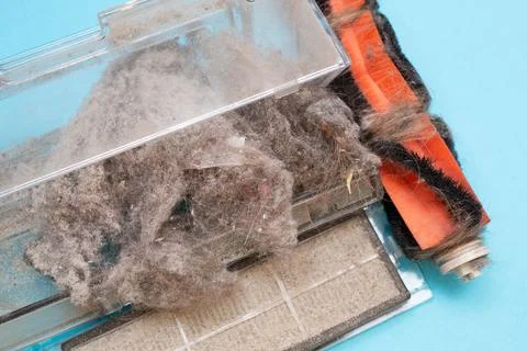 Container in the vacuum cleaner is completely clogged with dust and dirt. Top Stock Photos