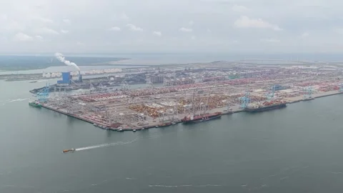Container vessels at Dutch terminal moving cargo through harbor Vidéo 315858690