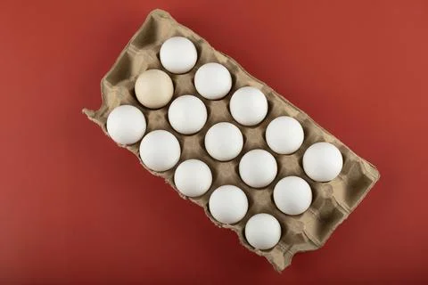 Container of white eggs on red background Stock Photos