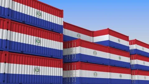 Container yard full of containers with flag of Paraguay. Paraguayan export or Illustrazione stock