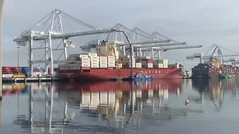 Containers being loaded on Cargo ship November 26, 2024  Port of Los Angeles, CA Stock Footage 303869678
