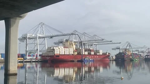 Containers being loaded on Cargo ship November 26, 2024  Port of Los Angeles, CA Stock Footage 303870064