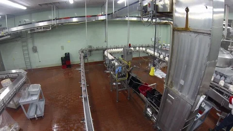 Containers. In bottling plant assembly line. wide Stock Footage 102185378