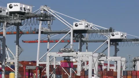Containers loading cranes Port of Long Beach Port of LA 스톡 동영상 163238677
