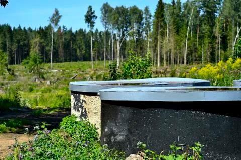 The containers protruding from the ground on a background of trees. Stock Photos