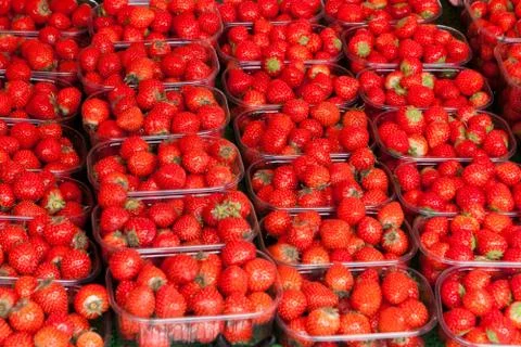 Containers with strawberry on a counter Stock Photos