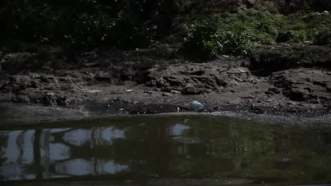 Contaminated river in Argentina Stock Footage 131902548