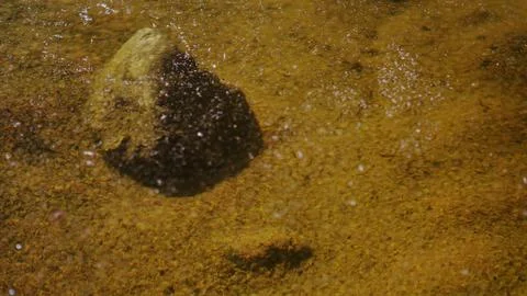 Contaminated surface water with bacterial surface elements. 스톡 사진
