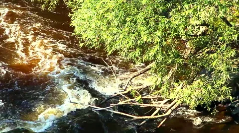 Contaminated water Видео 42181019