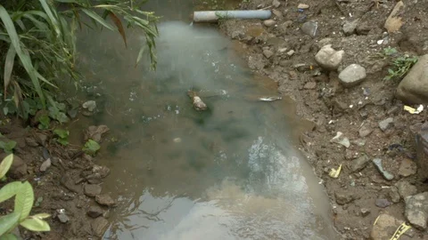 Contaminated Water Stock Footage 96006579