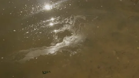 Contaminated water  Stock Footage 156016287