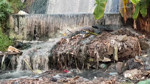 Contaminated Water Stream with Litter Stock Footage 305255160