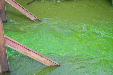 Contaminated watercourse Stock Photos