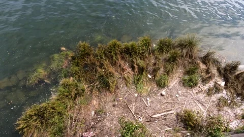 Contaminated Waters The Impact of River Pollution in Porto, Portugal Stock Footage 278268499