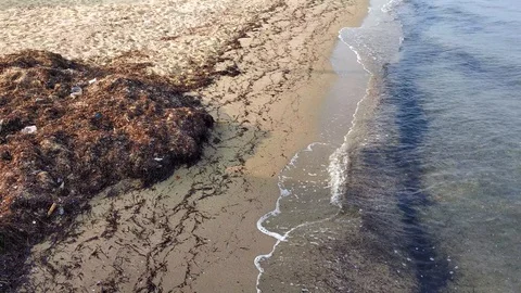 Contamination of the environment by the sea Stock Footage 119059178