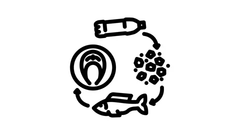 Contamination microplastic food chain Vídeo Stock 326747559