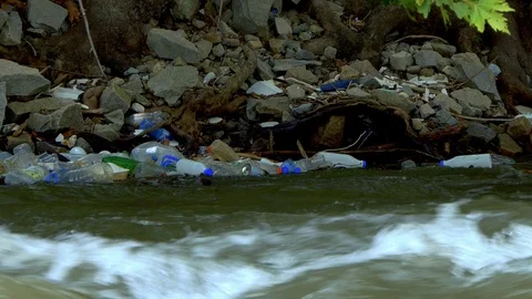 Contamination pond: plastic bottles left by people thrown like garbage into the Stock Footage 108637404