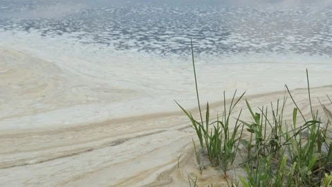 Contamination of water, pollution Stock Footage 155755955