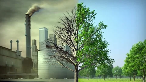Contaminaton of Nature Stock Footage 48401869
