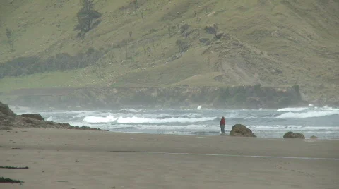 Contemplating on beach walk Stock Footage 549369
