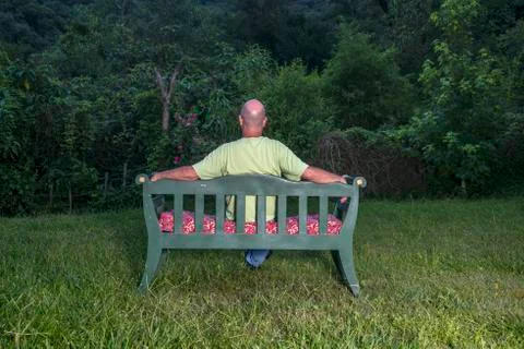 Contemplating the jungle Stock Photos