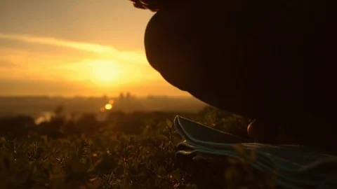 Contemplating pure beauty Stock Footage 96427156