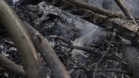 Contemplating the Smoke  A Journey Through the Ashes Stock Footage 327531518