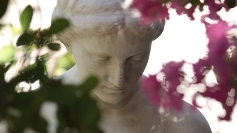 Contemplative expression of woman Stock Footage 78342369