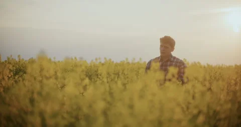 Contemplative Farmer Amidst Plants In Farm. Stock Footage 246830983