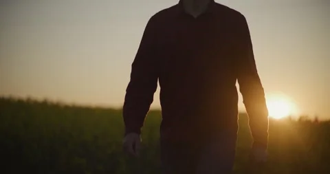 Contemplative Farmer at Sunset Field Scene Stock Footage 308128590