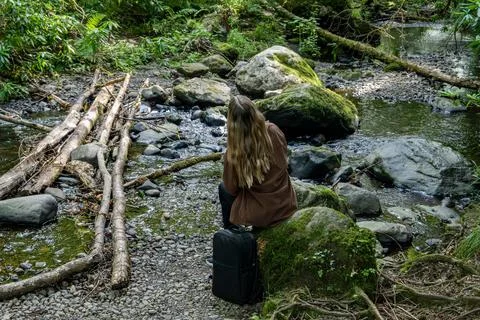 Contemplative Moment by a Tranquil Stream Located Deep Within a Dense Forest Stock Photos