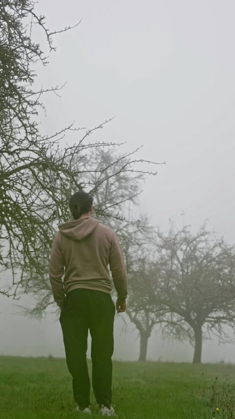 A contemplative stroll through a misty orchard can truly enhance ones inner Stock Footage 312476346