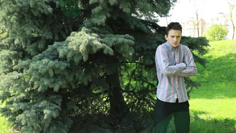 Contemplative Young Man Standing by Evergreen Trees in a Sunny Park Stock Footage 274049128