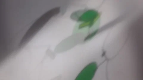 Contemporary Abstract Shape Form Shift Stock Footage 304438200