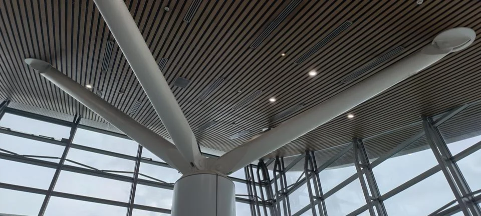 Contemporary architecture showcasing a ceiling with parallel wooden slats Stock Photos