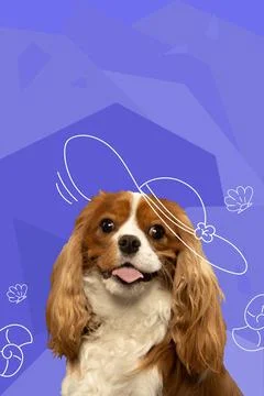 Contemporary artwork. Vector illustration. Close-up photo of cavalier King Illustrazione stock