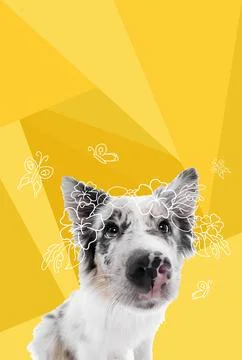 Contemporary artwork. Vector illustration. Cute Collie puppy wearing painted Illustrazione stock