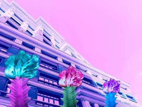 Contemporary collage. View of multi-colored cacti against the background of a Stock Photos