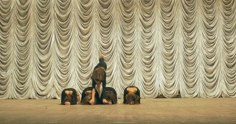 Contemporary dance performance of dancers on the stage. Front view. Stock Footage 79619410