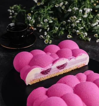 Contemporary raspberry mousse cake on black plate Stock-Fotos