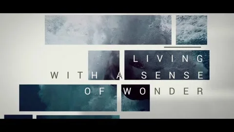 Contemporary Title Pack (Viva) After Effects stock