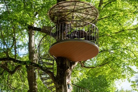 Contemporary Tree Pavilion Observation Deck in Sunlit Woodland. 스톡 사진