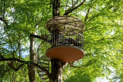 Contemporary Tree Pavilion Observation Deck in Sunlit Woodland. 写真素材