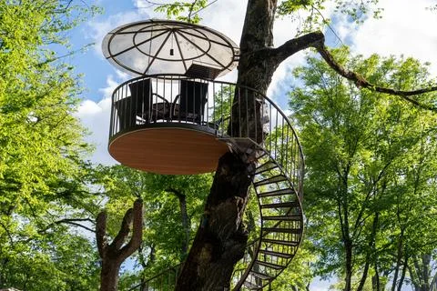 Contemporary Tree Pavilion Observation Deck in Sunlit Woodland. 库存照片