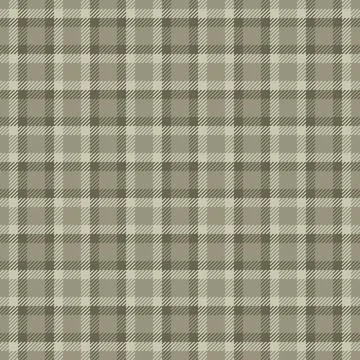 Contemporary vector fabric pattern, naked plaid texture tartan. Latin backg.. 库存插图