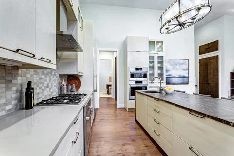 Contemporary white kitchen with Upscale kitchen appliances, custom built cabi Foto stock