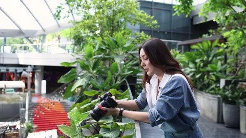 Content Creator Checking Photos on Camera During Outdoor Shoot Stock Footage 341661120