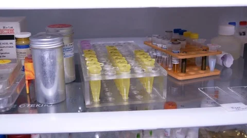 Content of laboratory refrigerator Video stock 84250216