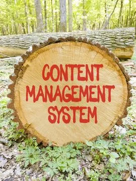 Content management system symbol. Concept words Content management system on  Stock Photos